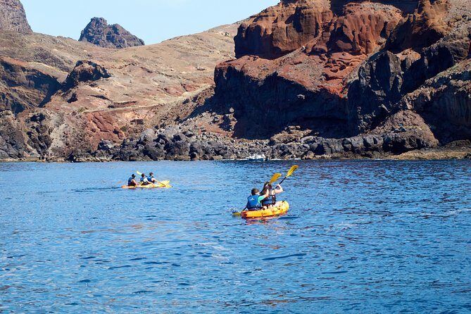 Kayak Experience @ Ponta de São Lourenço - Wildlife, Caves, and the Spots You’ll Want to Look Twice At