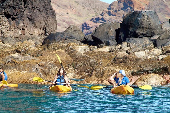 Kayak Experience @ Ponta de São Lourenço - What to Bring (Because the Sea Eats Phones)