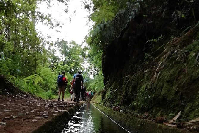 Kings Levada - São Jorge - Getting To São Jorge Without Wasting Your Morning