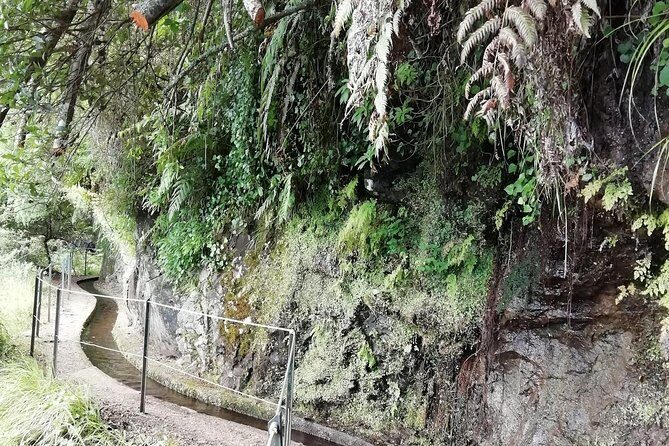Kings Levada - São Jorge - Transportation + Timing: Why This Combo Feels Like Good Value
