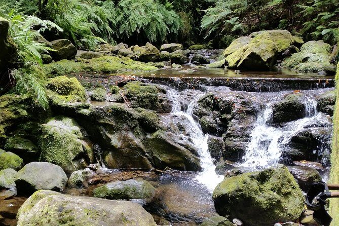 Kings Levada - São Jorge - Is Kings Levada - São Jorge Worth Your Time?