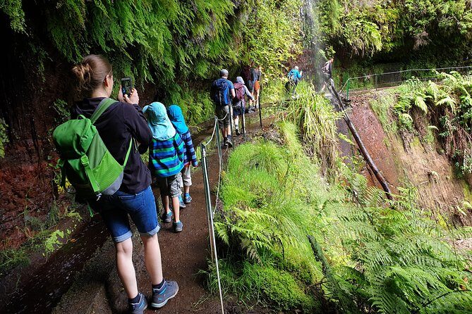 Kings Levada - São Jorge - Should You Book This Tour?