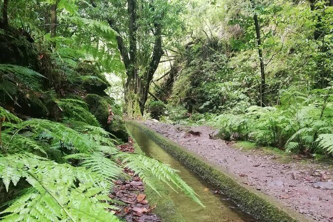 Kings Levada - São Jorge - Group Size and Pace: Small Enough to Feel Personal