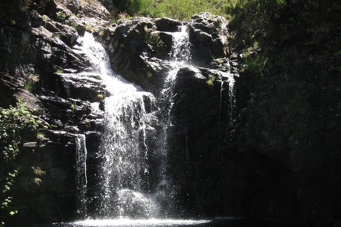 Lakes of Madeira- Alecrim Full day walk - Levada do Alecrim: why this Madeira hike feels special