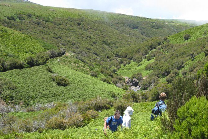 Lakes of Madeira- Alecrim Full day walk - Terrain variety: when “moderate fitness” really means something