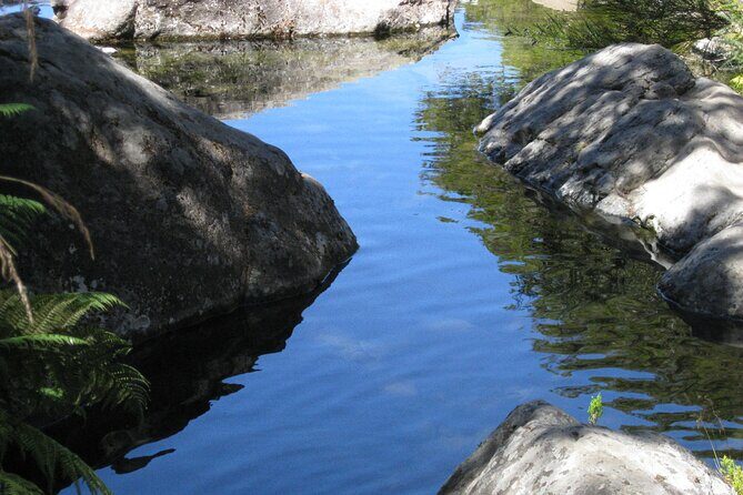 Lakes of Madeira- Alecrim Full day walk - Lunch break: why a pack lunch can be part of the fun