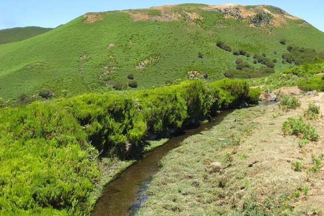 Lakes of Madeira- Alecrim Full day walk - Your guide’s role: easy navigation plus real context
