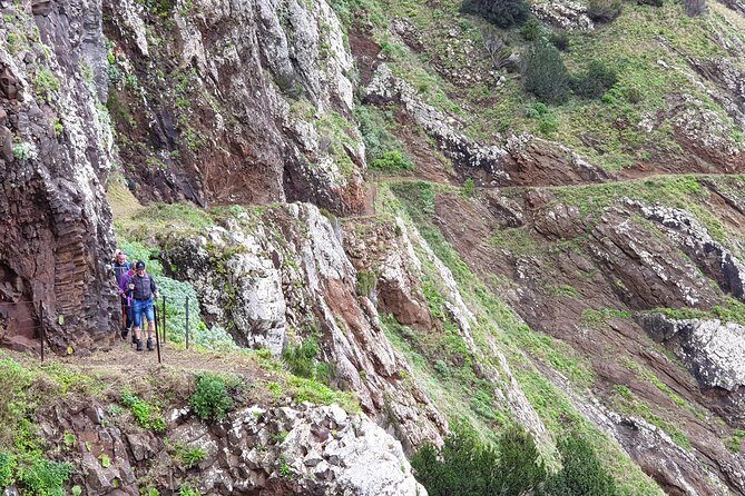 Larano Walking Tour - Madeira Morning on the Vereda Do Larano