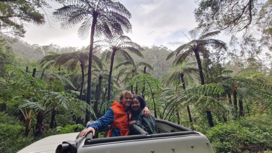 Let-Me-Surprise-You Madeira Full Day Private Tour - Key things I’d plan for