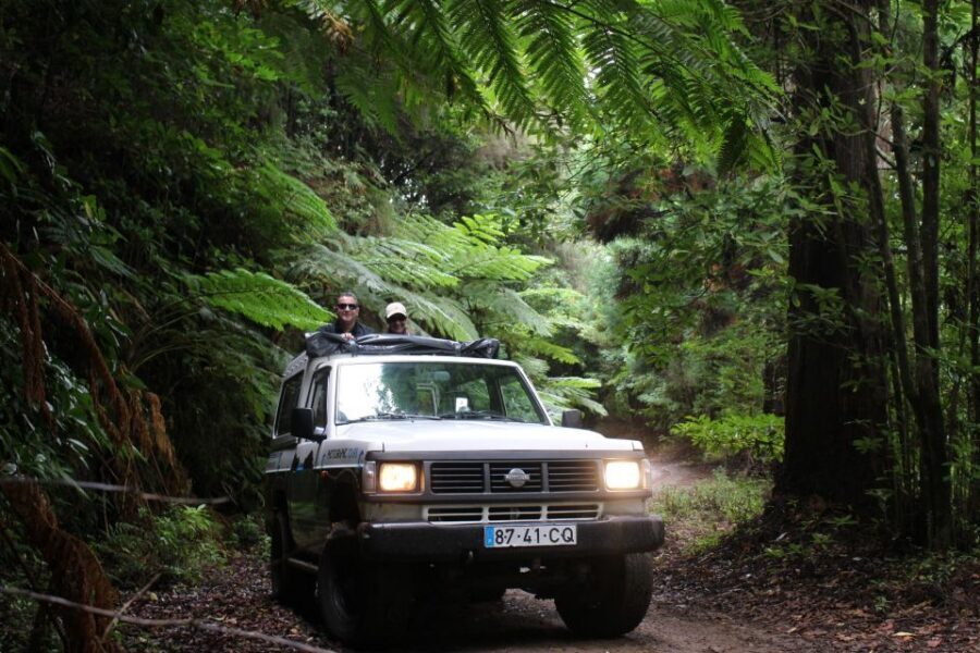 Let-Me-Surprise-You Madeira Full Day Private Tour - Madeira’s microclimates: why this “full day” feels different