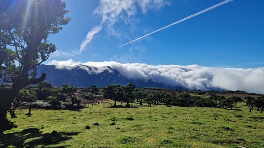 Let-Me-Surprise-You Madeira Full Day Private Tour - From misty mountains to dramatic sea pools