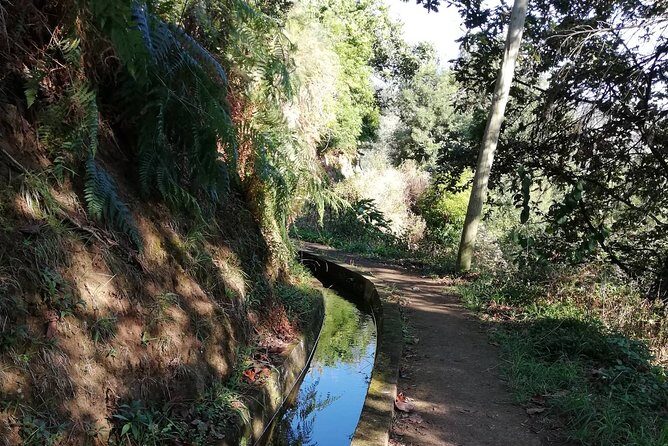 Levada da Referta - Castelejo - Getting from Funchal to the trail without the usual hassle