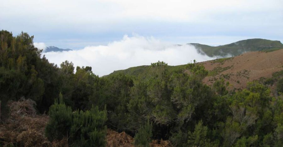 Levada do Alecrim (Madeira Lakes) Full-day walk - Key things to know before you go