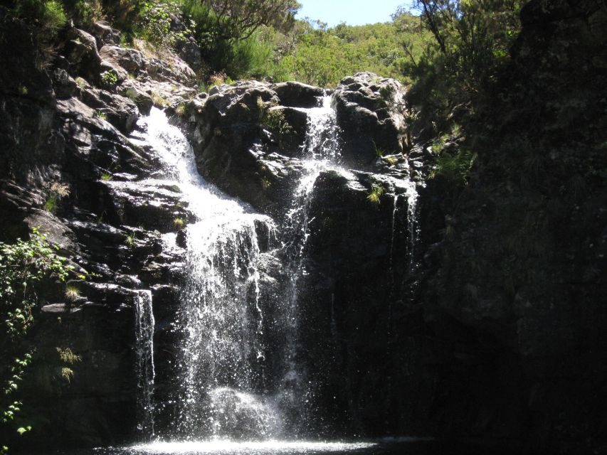Levada do Alecrim (Madeira Lakes) Full-day walk - Fauna and flora stops that turn a walk into real learning
