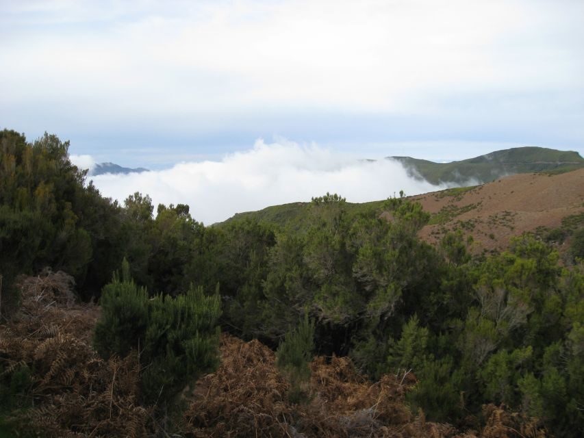 Levada do Alecrim (Madeira Lakes) Full-day walk - Getting there from Funchal, Garajau, and Caniço without stress