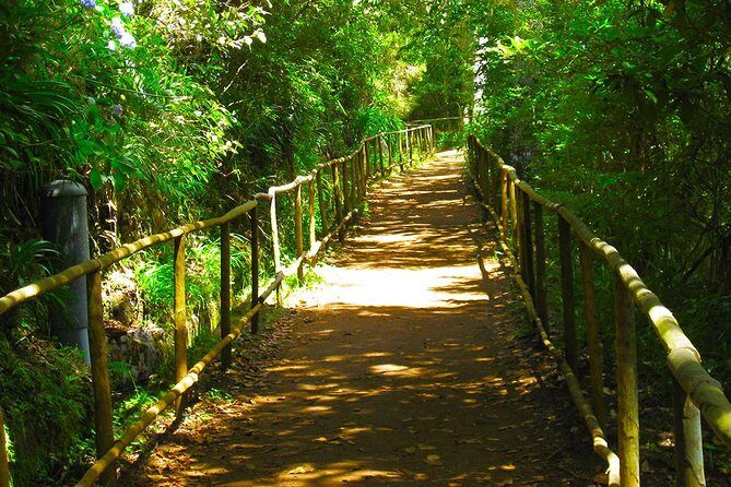 Levada do Caldeirão Verde Levada Walk from Funchal - Key things to know before you go