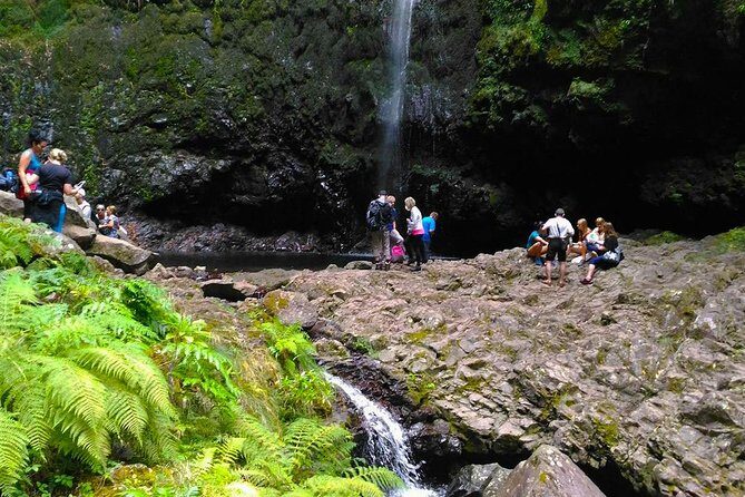 Levada do Caldeirão Verde Levada Walk from Funchal - Getting there from Funchal: pickup and start-time sanity
