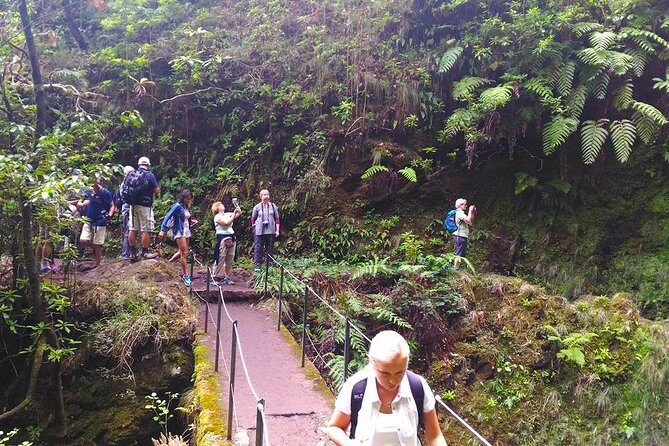 Levada do Caldeirão Verde Levada Walk from Funchal - From the Queimadas area toward the waterfall: water everywhere and views over São Jorge