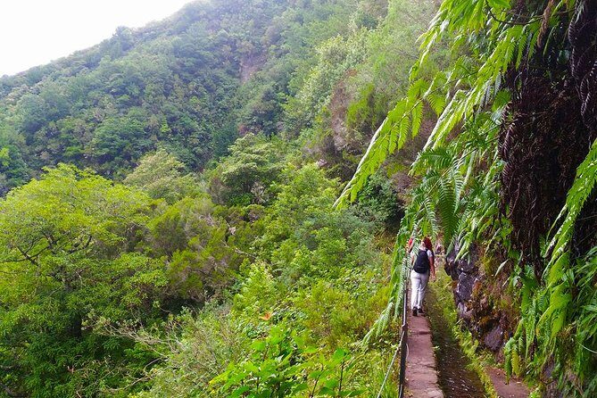 Levada do Caldeirão Verde Levada Walk from Funchal - Spotting Santana along the way: a small village rhythm inside the hike