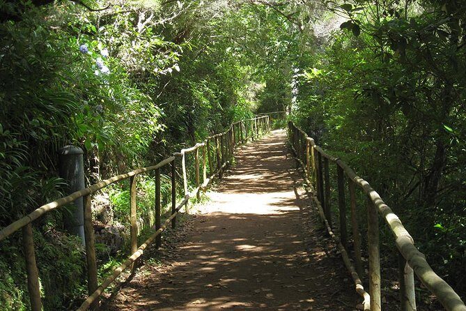 Levada do Caldeirão Verde Levada Walk from Funchal - The walking reality: 13 km, easy level, but plan for mud and time