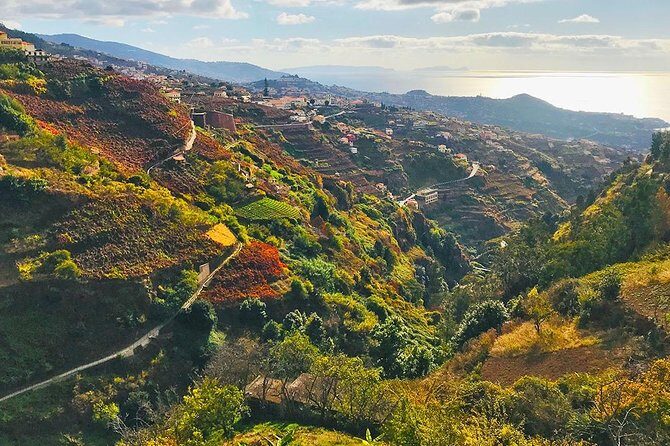 Levada do Norte - Walking Tour - Levada do Norte at a Glance: 6 things that matter before you go