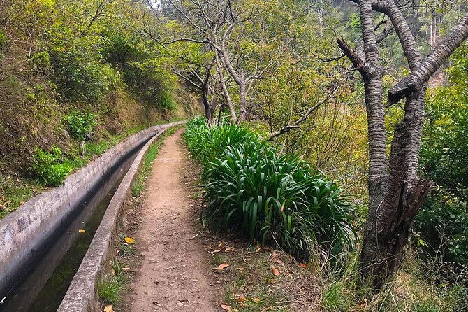 Levada do Norte - Walking Tour - Your morning start: pickup, timing, and what to expect at 8:30 am