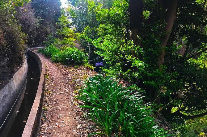 Levada do Norte - Walking Tour - Cabo Girão: starting views and how to set yourself up for the trail