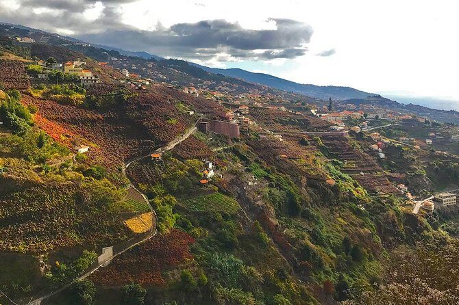 Levada do Norte - Walking Tour - Campanário and the Quinta Grande valley: where the photos actually make sense