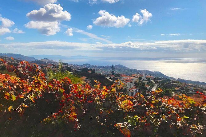 Levada do Norte - Walking Tour - The “half-day” reality: walking time versus waiting time