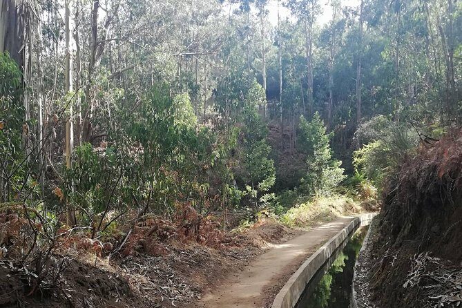 Levada Serra D´Agua - Quick things to know before you go