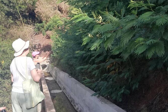 Levada Serra D´Agua - Price and value: does $42.01 make sense for 2 hours and pickup?