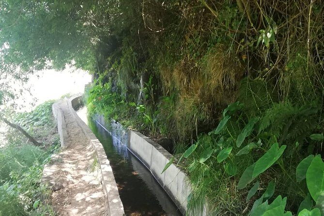 Levada Serra D´Agua - Panoramas first, eucalyptus forest next: what the trail delivers