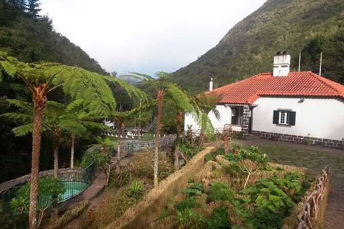 Levada Walk from Ribeiro Frio to Portela - Along The Levada: Laurel Shade, Trout Spotted Up Close