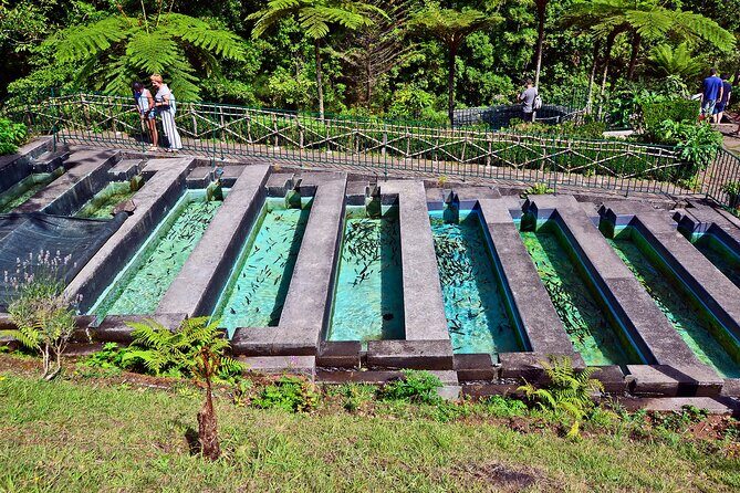 Levada Walk from Ribeiro Frio to Portela - The Picnic Moment And The “Column Walk” Trade-Off