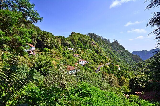 Levada Walk from Ribeiro Frio to Portela - Finishing Back At Ribeiro Frio: Your Day Ends Like It Started