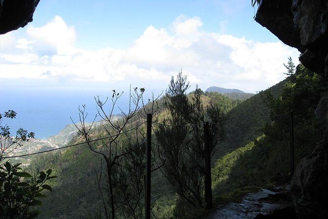 Levada Walk from Ribeiro Frio to Portela - Price and Value: Why This Walk Costs $51.61