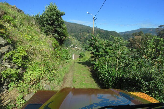 Local Farmers Market and 4WD Experience from Funchal - Price and logistics: how the $60.15 works with pickup fees