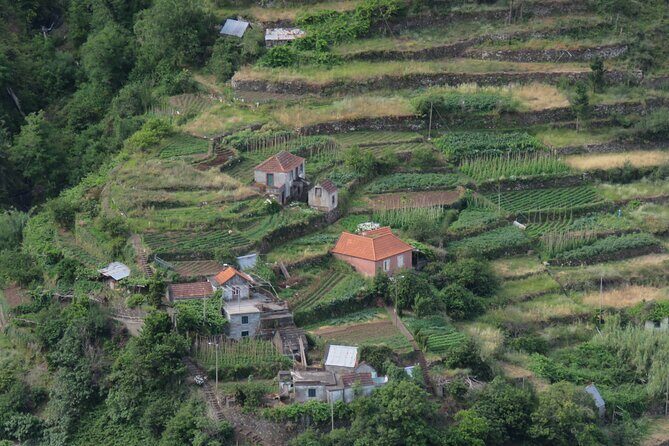 Local Farmers Market and 4WD Experience from Funchal - Santo Antonio da Serra market: where local food and drink become the main event