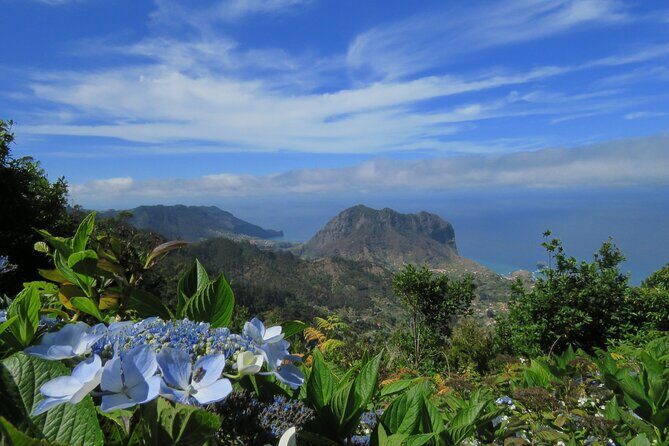Local Farmers Market and 4WD Experience from Funchal - What to buy and eat at the market (without overpacking your trip)