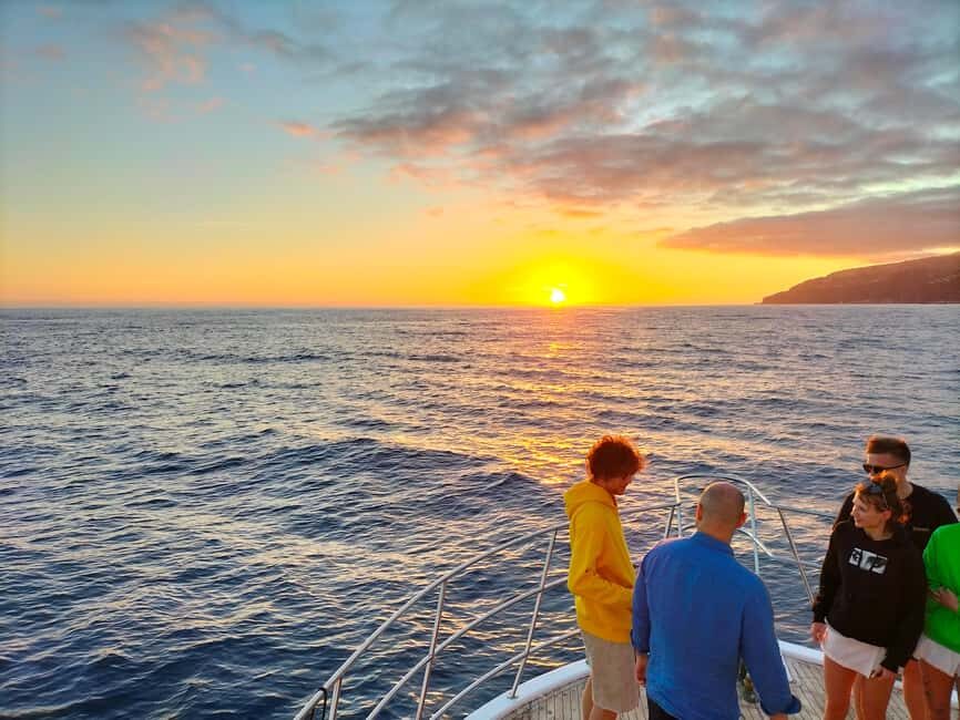 Madeeira: Sunset dinner cruise - Sunset Cruise Views: Funchal by Night From the Water