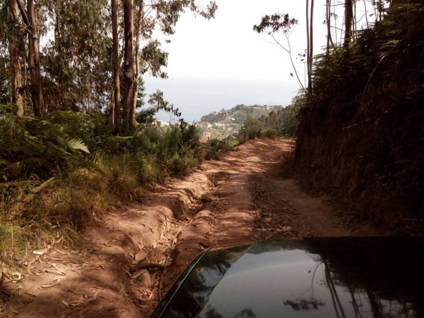 Madeira 2 Full-Day & 1 Half-Day 4x4 jipe Special Tour Combo - Key points that make this combo worth it