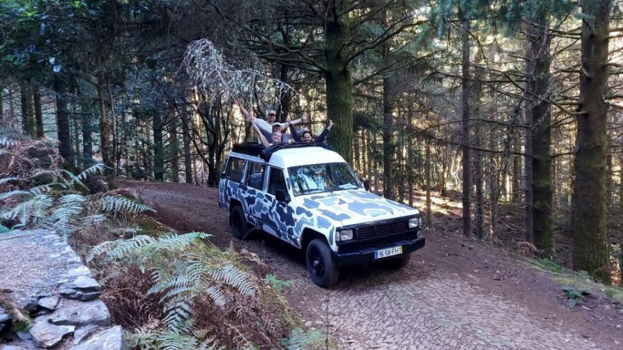 Madeira: 4 hours Classic Jeep tour in Central Madeira - Why a Classic Jeep Ride Feels Like a Movie in Madeira