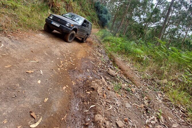 Madeira 4x4 Jeep Safari : Porto Moniz, Lava Pools & Fanal Forest - Seixal Black Sand: Quick Hit, Strong Visual Payoff