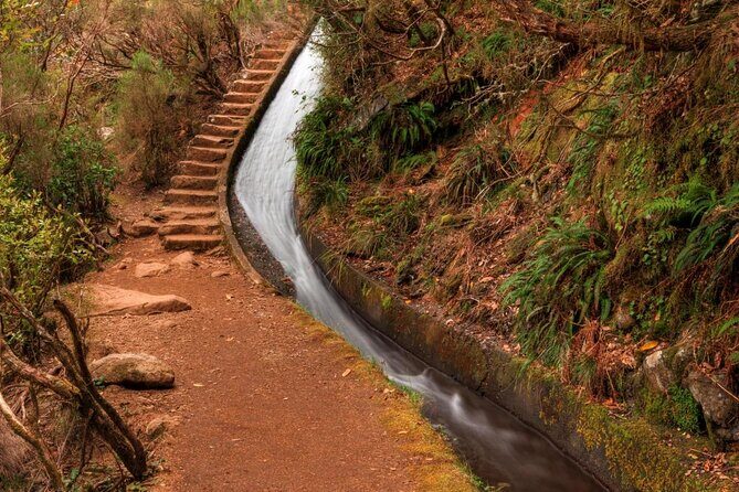 Madeira 4x4 Jeep Safari : Porto Moniz, Lava Pools & Fanal Forest - Cabo Girão and the Skywalk: Big Views, Ticket Note