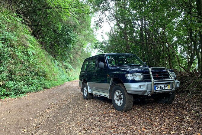 Madeira 4x4 Jeep Tour : Pico Arieiro & Santana Traditional Houses - Price and what you actually get for $66.08