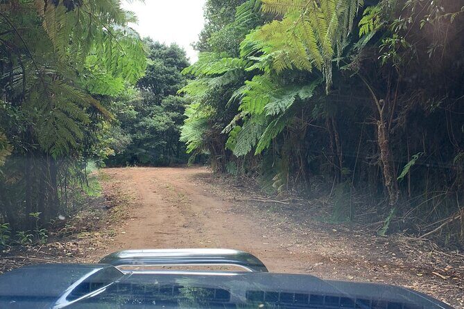 Madeira 4x4 Jeep Tour : Pico Arieiro & Santana Traditional Houses - The main tradeoffs: the two things to think about
