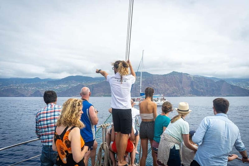 Madeira : 5 hour East Coast boat excursion - Cruising Madeira’s east coast in one smooth 5-hour loop