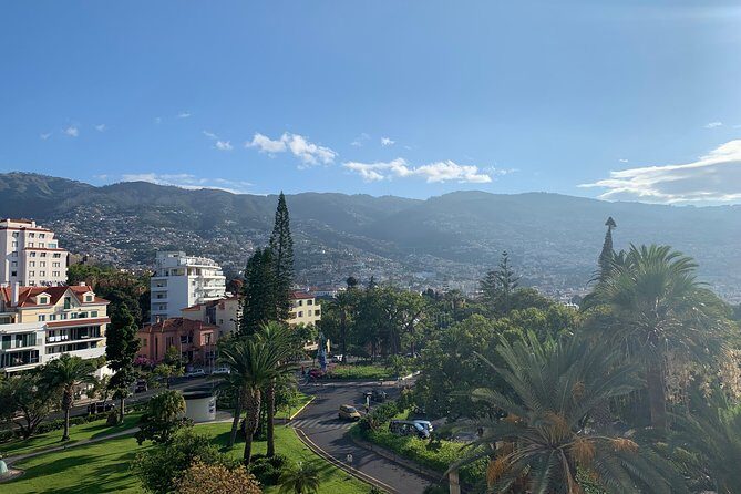Madeira Airport Round Trip Shuttle Transfers Service - Watch Outs Before You Book: The One Mistake That Costs Money