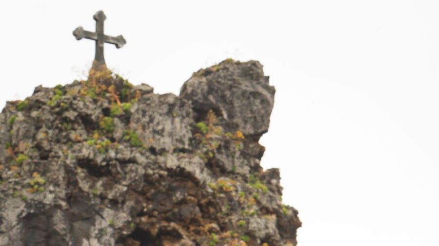 Madeira all day jeep nature tours. - Price reality: is $68 a good deal for an 8-hour private jeep day?
