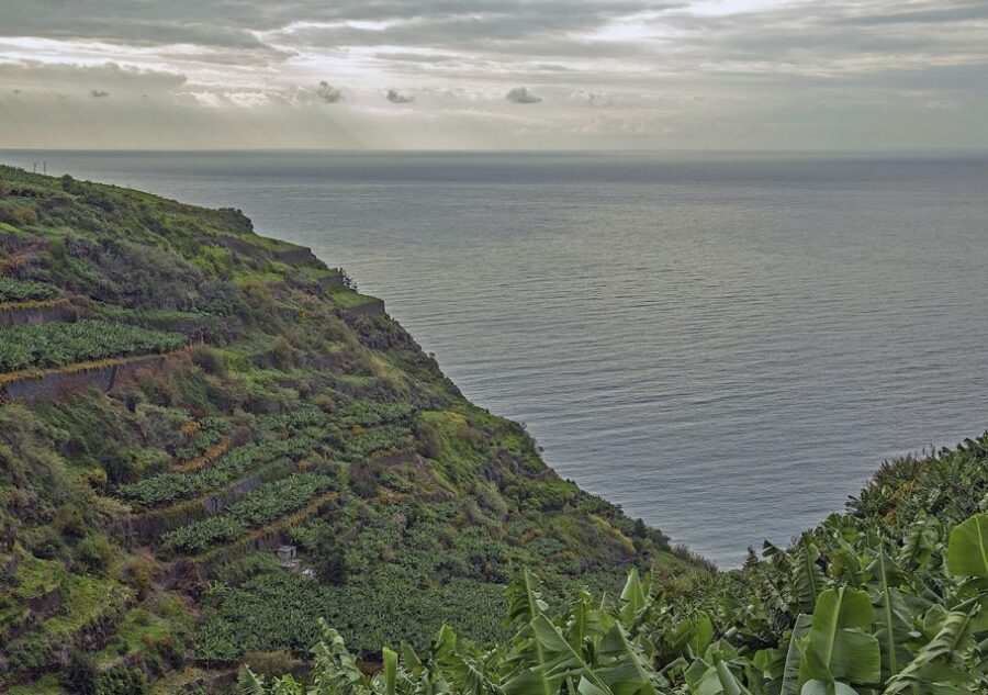 Madeira: Amazing West - Porto Moniz - Ribeira Brava and the Serra d’Água viewpoint energy